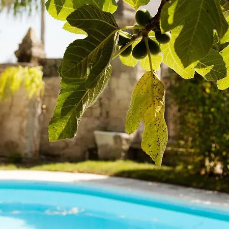 Guest house Casale Alle Vigne *