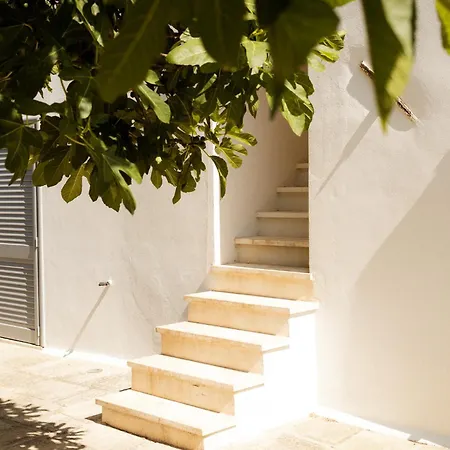 Casale Alle Vigne Penzion 4*