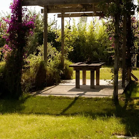 Casale Alle Vigne