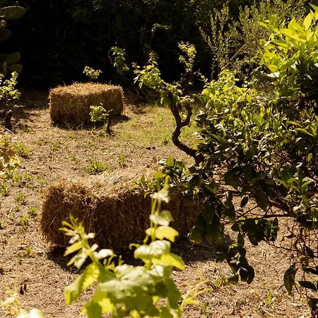 Casale Alle Vigne 4* Nardò