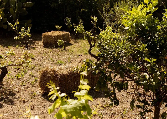 Casale Alle Vigne 4* ナルド